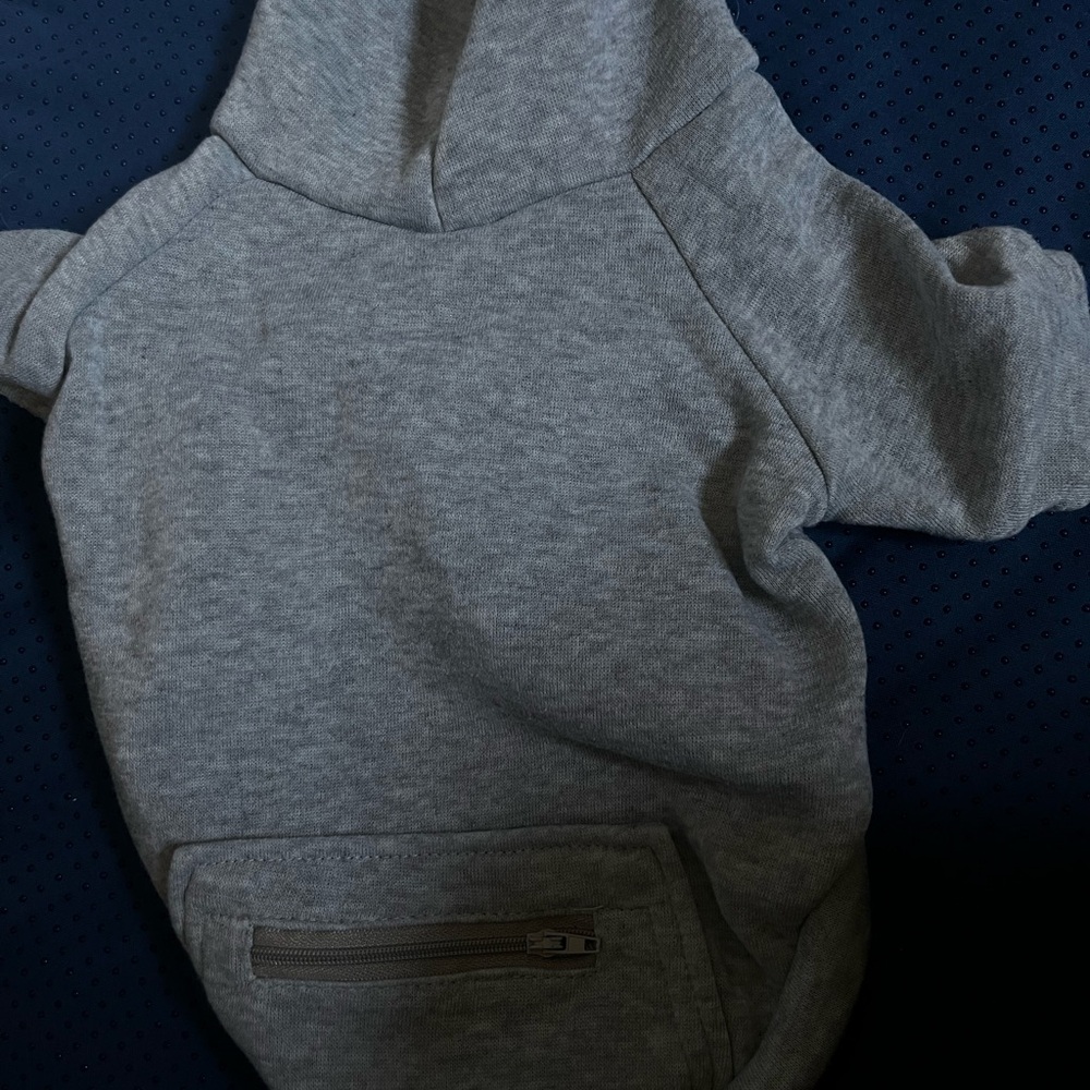 Men's Gray Hoodie Sweater